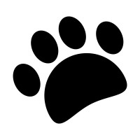 Mastercat Design Logo