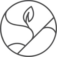 Root Media Logo