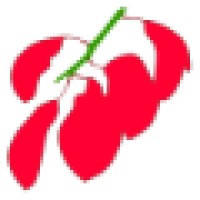 Seibo Software Studios AB Logo