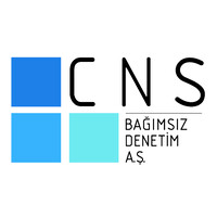 CNS Bağımsız Denetim AŞ (Member of MSI Global Alliance) Logo