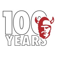 Norseman Protective Solutions Logo