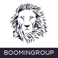 BoominGroup Logo