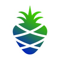 PineBerry Logo