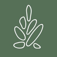 Svetlana Plantas Preservadas Logo