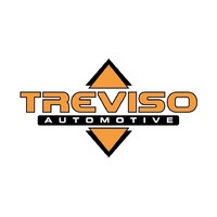 Treviso Automotive Logo