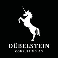 Dübelstein Consulting AG Logo