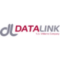DataLink Services Logo
