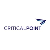 CriticalPoint Partners Logo