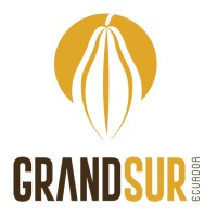 GrandSur (GrandSouth S.A.) Logo