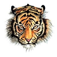 Spotted Tiger Logo