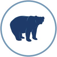 BlueBear Solutions Logo