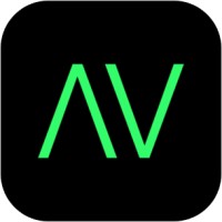 Asset Vision Logo