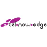 Tel•Now•Edge Logo