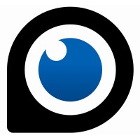 Vide Consulting Group, LLC Logo