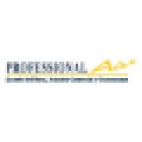 Professional Air Logo