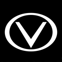 VIZZYNESS Logo