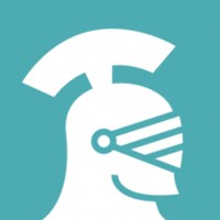 Paladin Engineering Logo