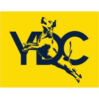 Yellow Dog Creative (Swick Media) Logo