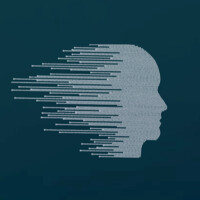 RoboInsights. How do we live with Robots? Logo