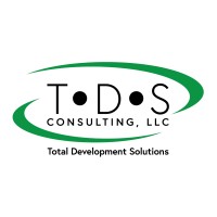 TDS Consulting, LLC Logo