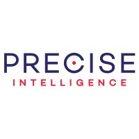 Precise Intelligence Logo