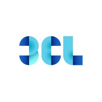 3CL Foundation Logo