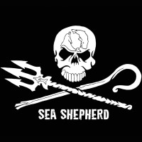 Sea Shepherd México Logo