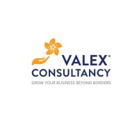 VALEX CONSULTANCY Co., LTD. Logo