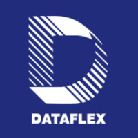 Dataflex Logo