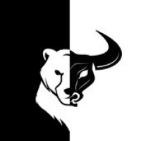 Bull & Bear Finance Logo
