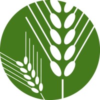 Serena & Manente Srl Logo
