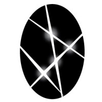Black Opal Inc Logo