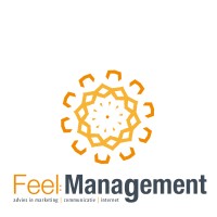 Feel Management - advies in online marketing | websites Logo
