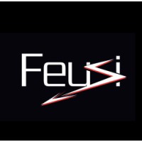 Feusi électricité SA Logo