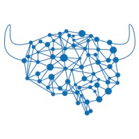 Bitbull.fund Logo