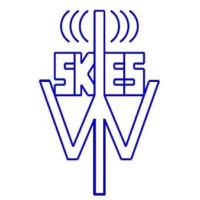 Wi-Skies, LLC Logo