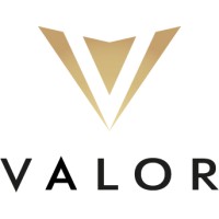 Valor Energy Group Logo
