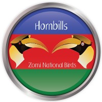 Zomi Language, LLC Logo