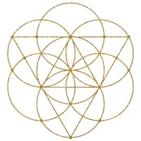 The Academy for Soul-based Coaching Logo
