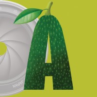 Avocado Media Logo