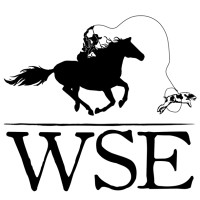 Wild Stallion Enterprises, LLC Logo