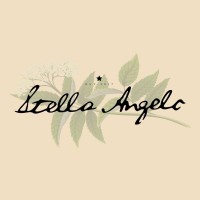 Stella Angelo Logo