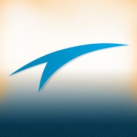 Transmontes S.A de C.V Logo