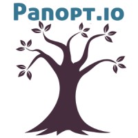 Panopt.io Logo