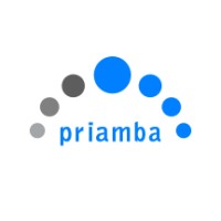 Priamba Soft LLC Logo