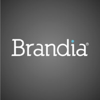 BRANDIA Consulting Logo