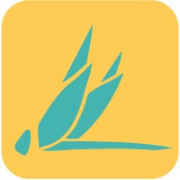 Dragonfly.buzz Logo