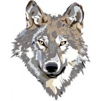 TIMBERWOLF SERVICES, LLC. Logo