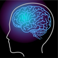BrainMind Logo