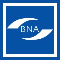 British Nursing Association Logo